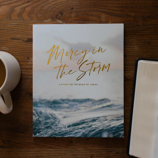 Mercy in the Storm - Study of Jonah